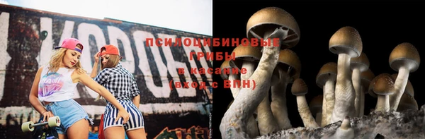 трава Магас