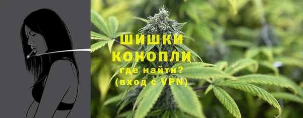 прущие крисы Ленск