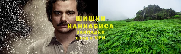 трава Магас