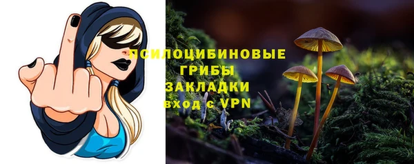 меф Ленинск-Кузнецкий
